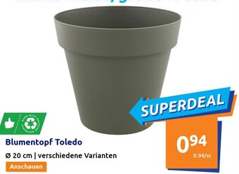 Action Blumentopf Toledo Angebot