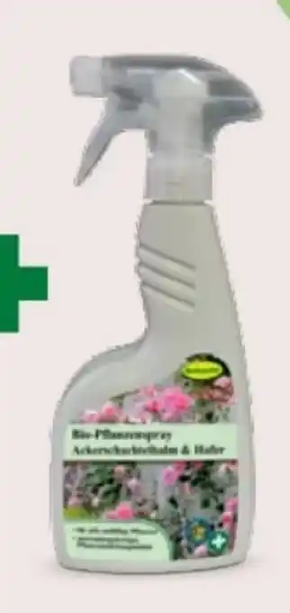 Bellaflora Bio Pflanzenspray Ackerschachtelhalm-Hafer Angebot