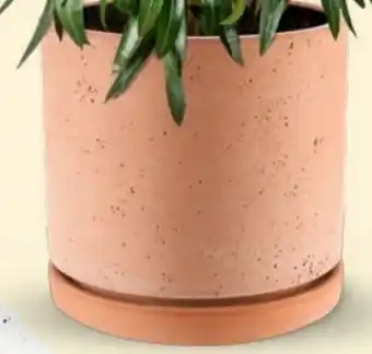 Bellaflora Topf Modena Angebot