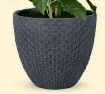 Bellaflora Topf Nashville Angebot