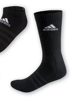 PENNY Herren Sneakersocken Angebot
