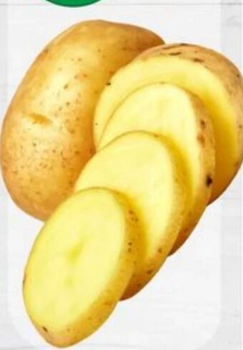 ETSAN Kartoffeln Angebot
