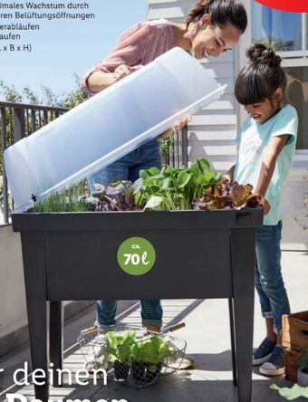 Lidl Hochbeet Angebot