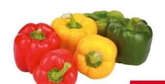 Transgourmet Paprika Mix Angebot