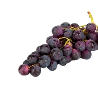 Transgourmet Trauben Angebot