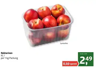 ADEG Nektarinen 1kg Angebot