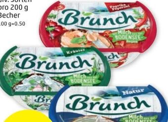 PENNY Brotaufstrich Angebot