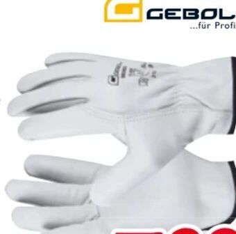 Zgonc Handschuhe Driver Angebot