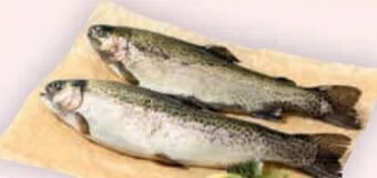 Billa Forelle Angebot