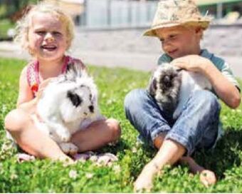 Hofer Reisen Tirol Walchsee Angebot