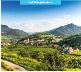 Niederösterreich Spitz an der Donau