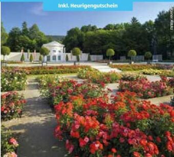Hofer Reisen Niederösterreich Baden Bei Wien Angebot