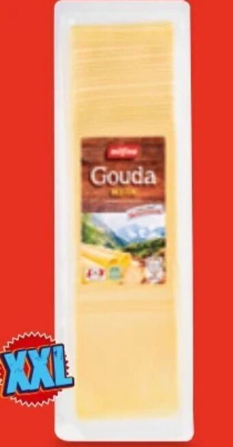 Hofer Gouda Angebot