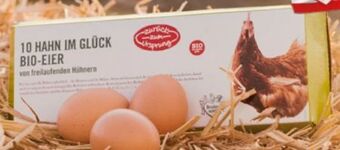 Hofer Bio-Eier Angebot