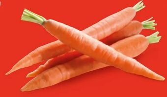 Hofer Karotten Angebot