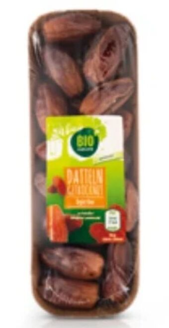 Hofer Bio Datteln Angebot