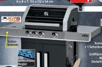 Bauhaus Gasgrill Cliff 350 Angebot