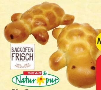 Spar Bio-Butter Brioche Schildkröte Angebot
