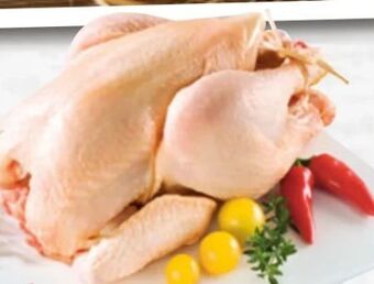 Spar Feinstes Geflügel Hendlfilet Angebot