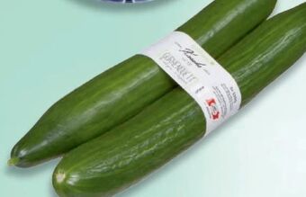 Metro Gurken Angebot