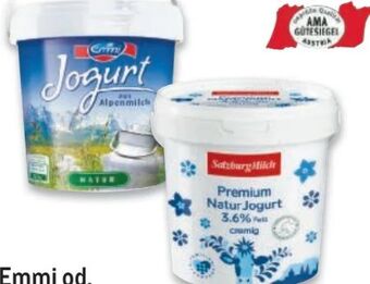 Metro Joghurt Angebot