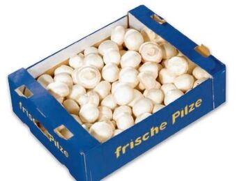 Metro Champignons Angebot