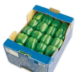 Metro Paprika Angebot