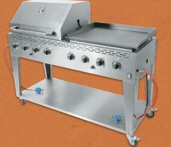 Metro Gasgrill mit Plancha Angebot