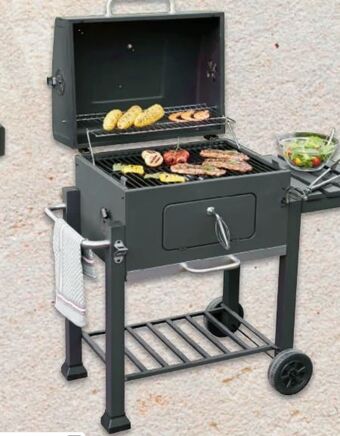 Metro Holzkohlegrill Trolly Deluxe Angebot