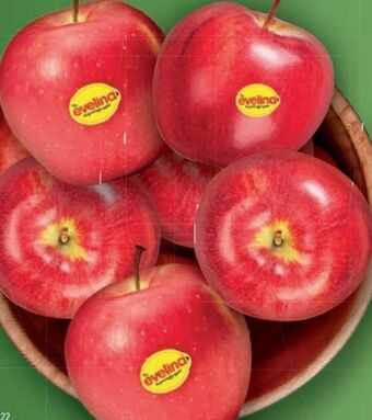 Lidl Äpfel Angebot
