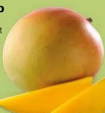 Hofer Mango Angebot