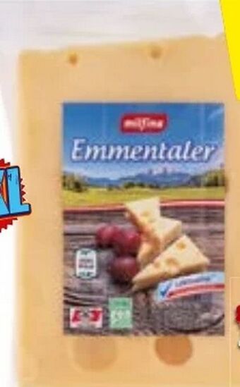Hofer Emmentaler Angebot