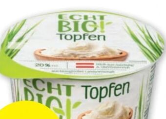 PENNY Topfen Angebot
