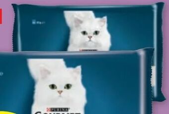 PENNY Gourmet Perle Angebot