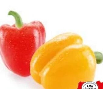 Hofer Paprika Angebot