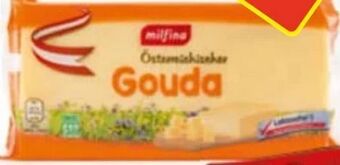 Hofer Gouda Angebot