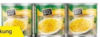 Hofer Mini Pack Mais Angebot