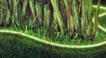 OBI Hue Lightstrip Outdoor Angebot