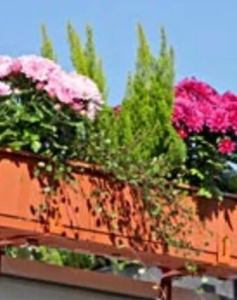 Hagebau Blumenkasten Standard Angebot