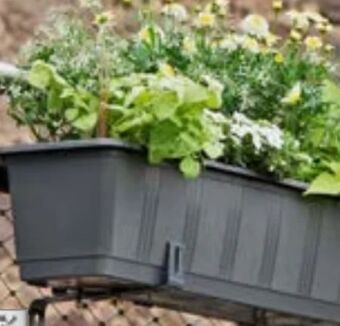 Hagebau Bewässerungs-Blumenkasten Aqua Green Angebot