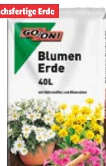 Hagebau Blumenerde Angebot