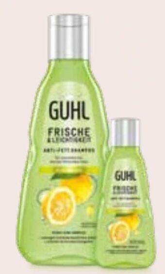 Interspar Shampoo Angebot