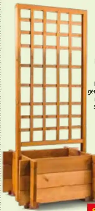 Interspar Blumenkasten Angebot