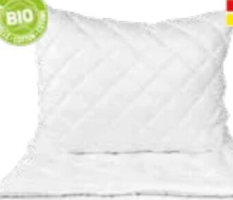 Interspar Frankenstolz Polster Angebot