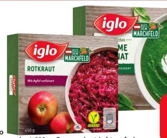 Eurospar Rotkraut Angebot