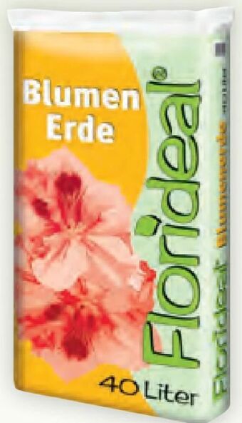 Billa Blumenerde Angebot