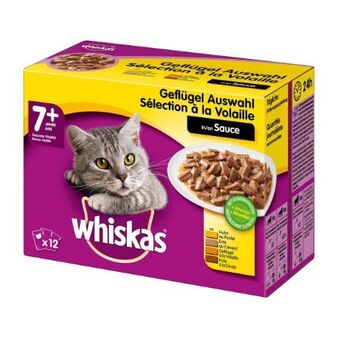 Billa Katzenfutter Frischebeutel Angebot