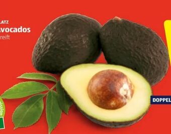 Hofer Avocados Angebot