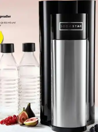 Hofer Trinkwassersprudler Elegance Angebot