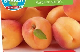Spar Marillen Angebot